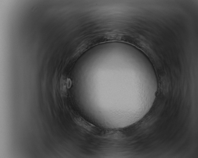 X0000052601154200507160003