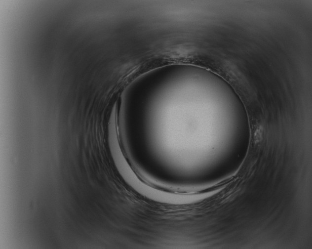 X0000052601156200507160003