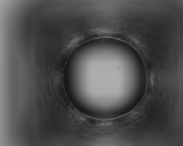 X0000052601157200507160003