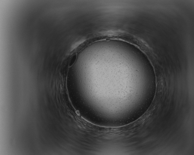 X0000052601158200507160003