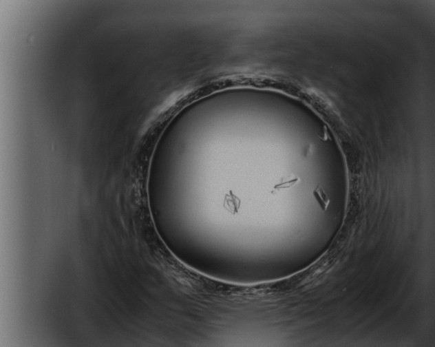 X0000052601159200507160003