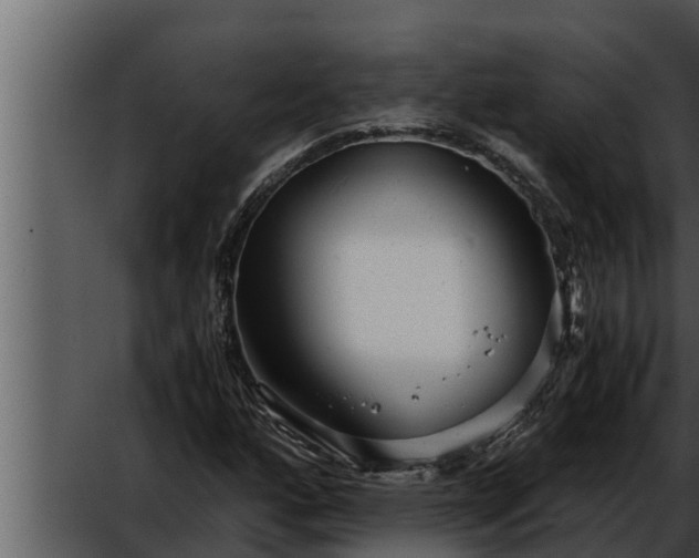 X0000052601160200507160003