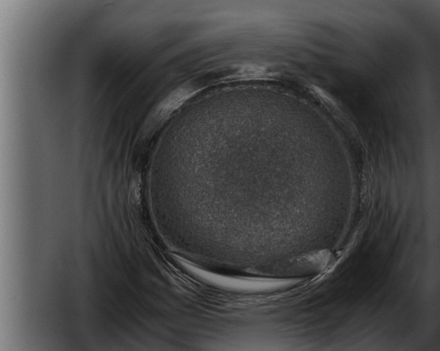 X0000052601161200507160003