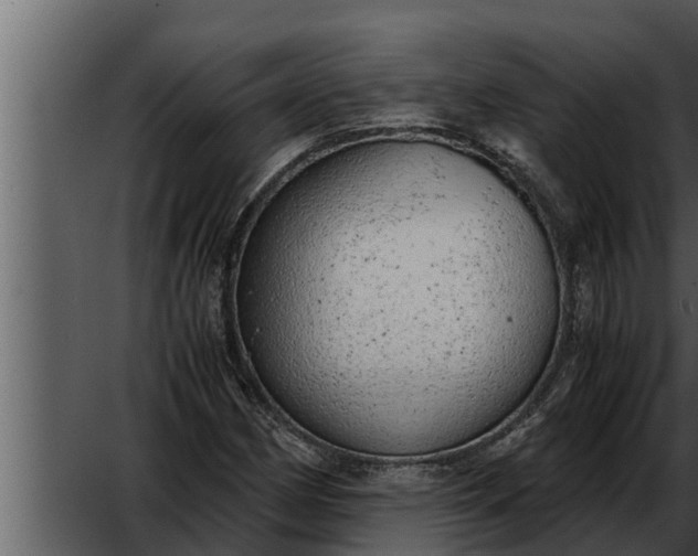 X0000052601162200507160003