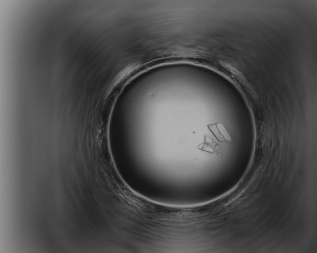 X0000052601163200507160003