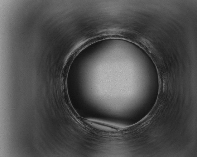 X0000052601164200507160003