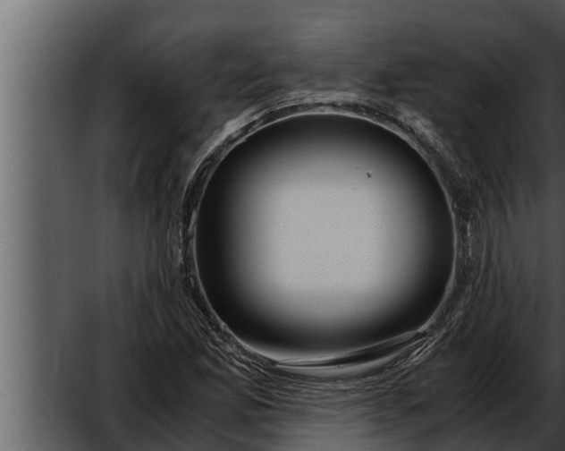 X0000052601165200507160003