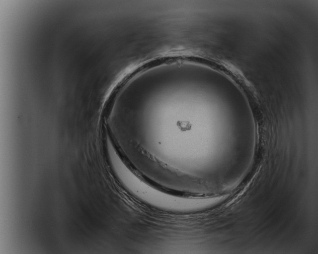 X0000052601167200507160003