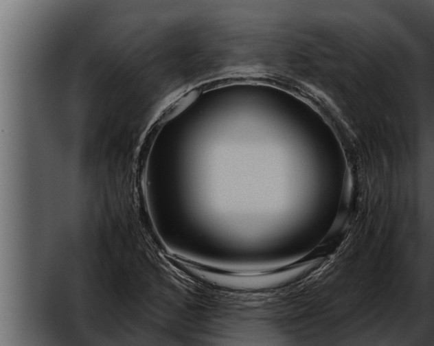 X0000052601168200507160003