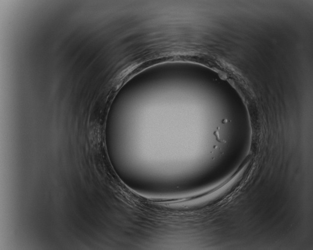 X0000052601169200507160003