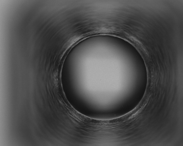 X0000052601170200507160003