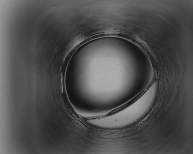 X0000052601171200507160003