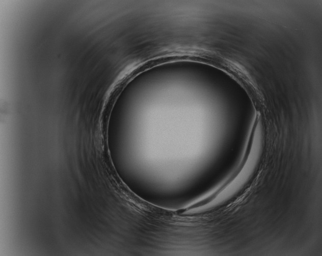 X0000052601172200507160003