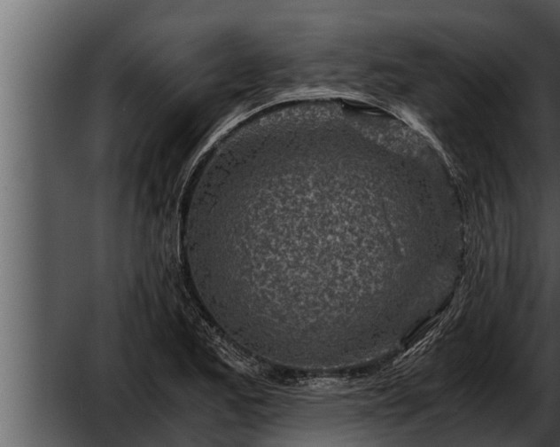 X0000052601173200507160003