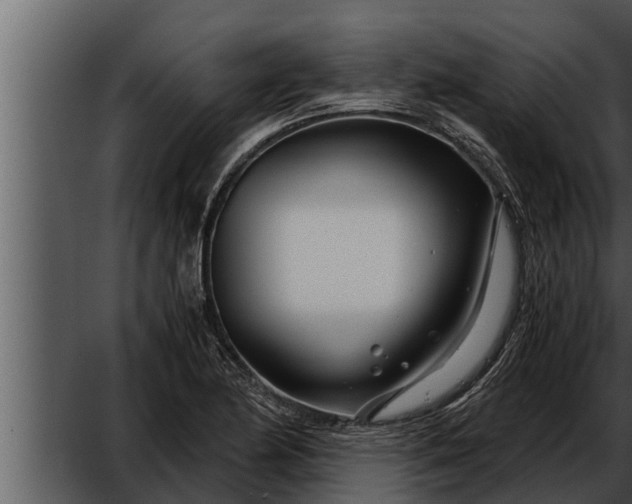 X0000052601174200507160003