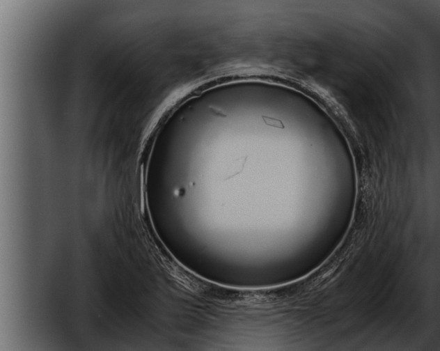 X0000052601175200507160003