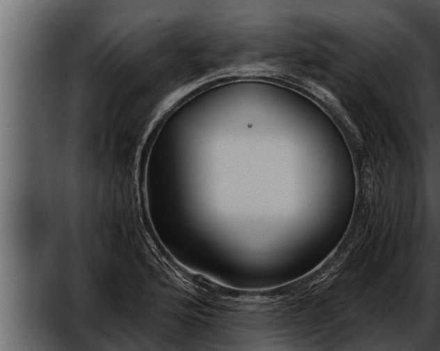 X0000052601176200507160003