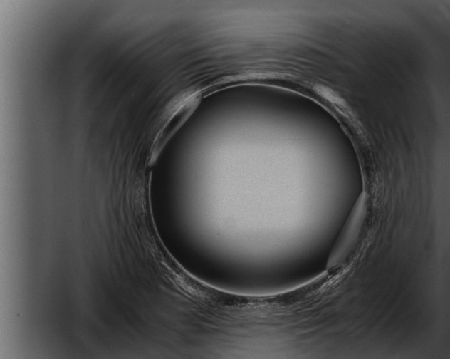 X0000052601177200507160003