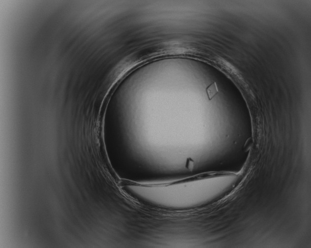 X0000052601178200507160003