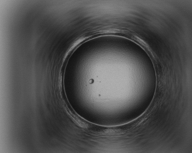 X0000052601179200507160003