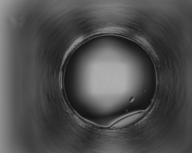 X0000052601180200507160003