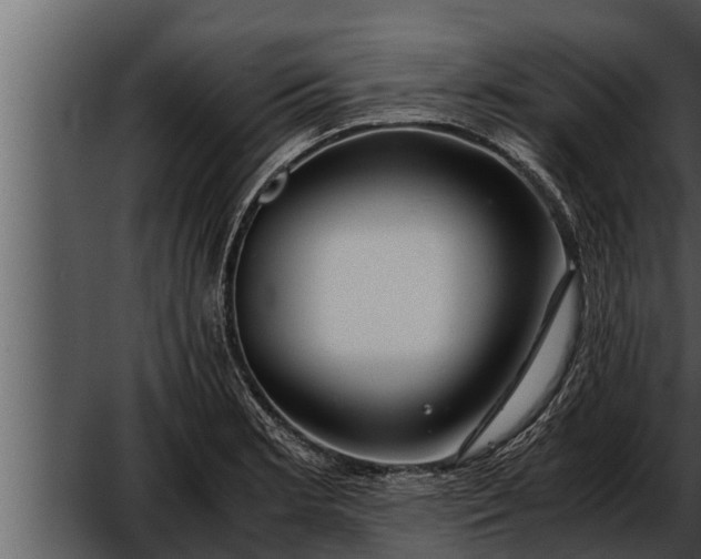 X0000052601181200507160003