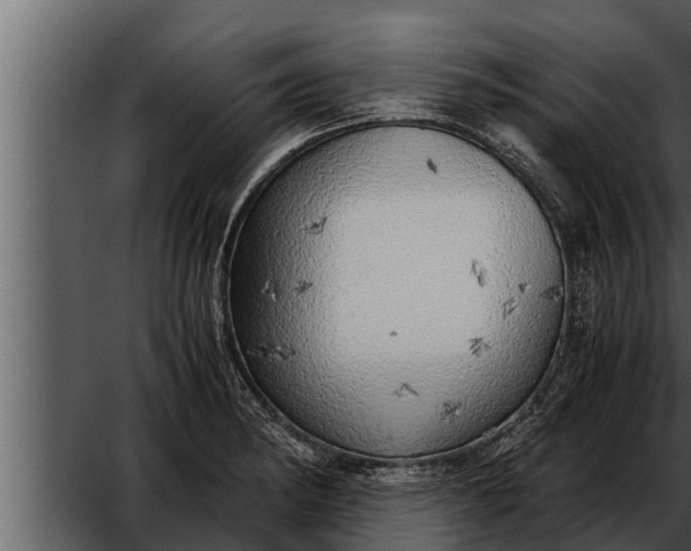 X0000052601182200507160003