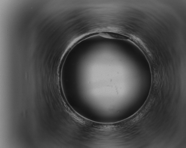 X0000052601184200507160003