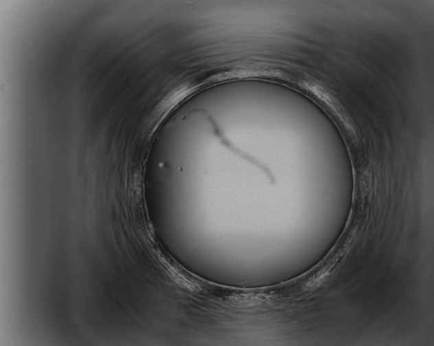 X0000052601185200507160003