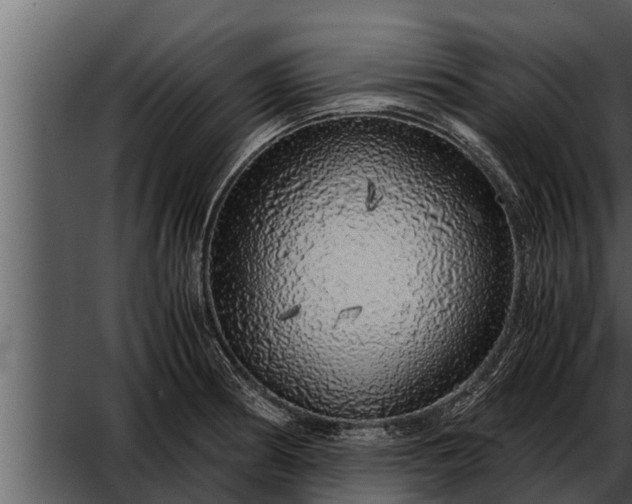 X0000052601186200507160003