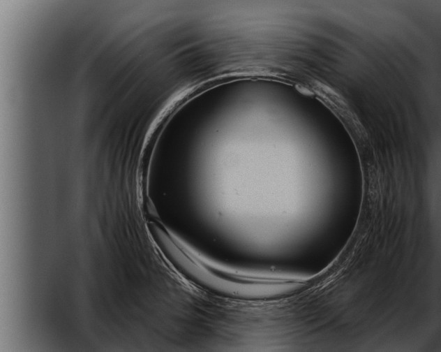 X0000052601188200507160003