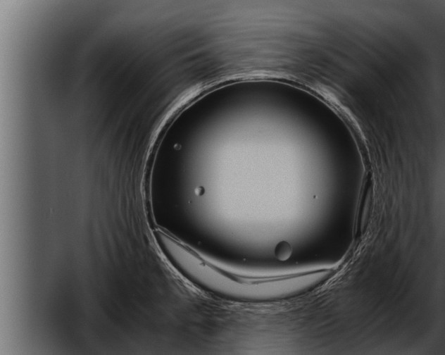 X0000052601189200507160003