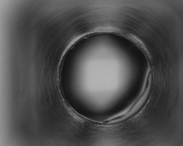 X0000052601192200507160003