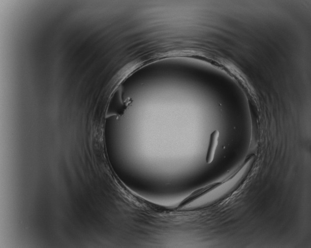 X0000052601193200507160003