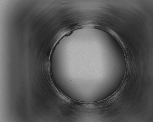 X0000052601194200507160003