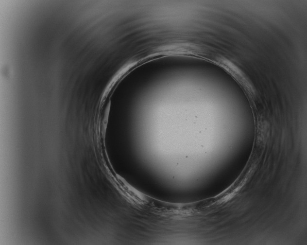 X0000052601196200507160003