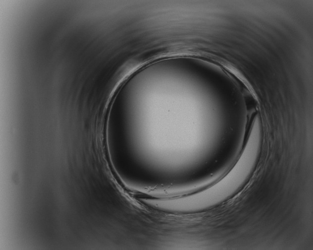 X0000052601197200507160003