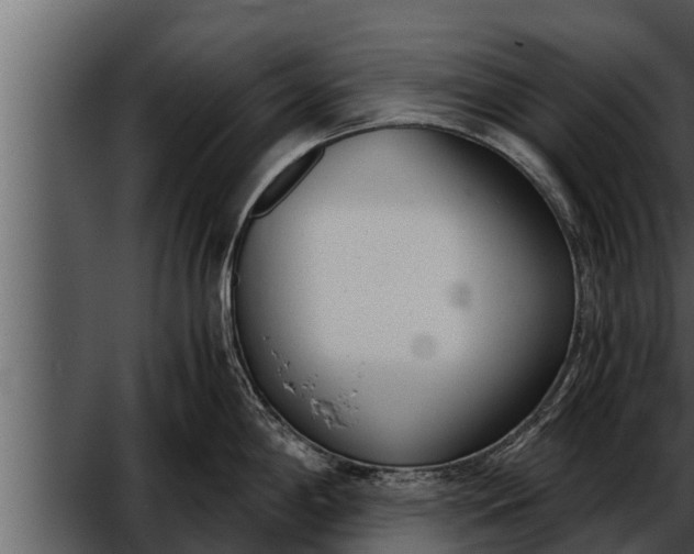 X0000052601198200507160003