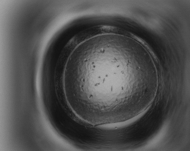 X0000052601199200507160003