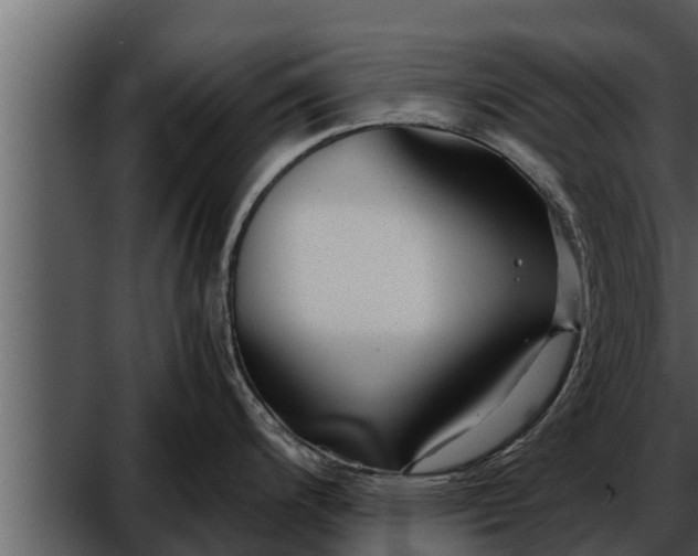 X0000052601200200507160003