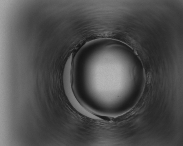 X0000052601202200507160002