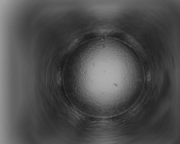 X0000052601204200507160002