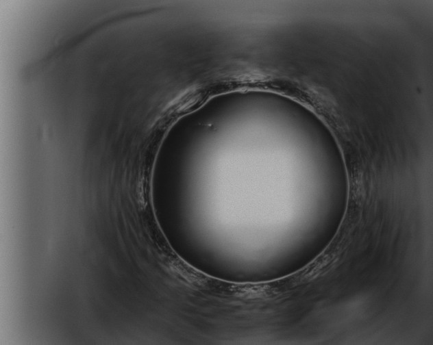 X0000052601205200507160002