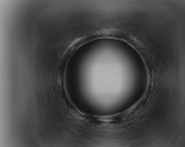 X0000052601206200507160002