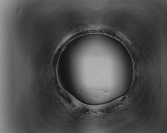 X0000052601208200507160002