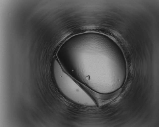 X0000052601209200507160002