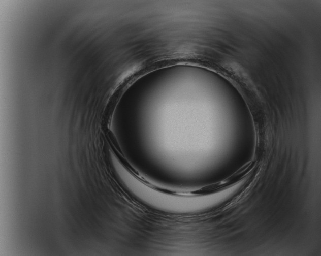 X0000052601210200507160002