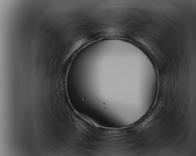 X0000052601211200507160002