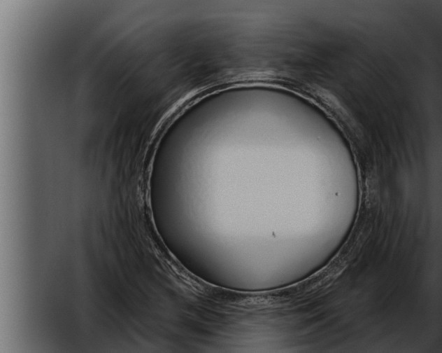 X0000052601212200507160002