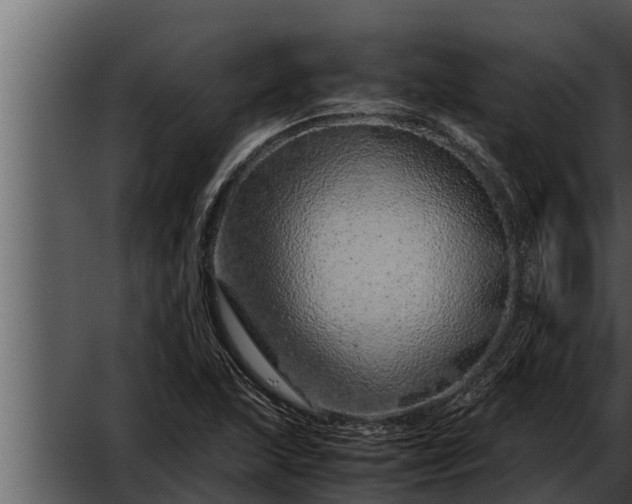 X0000052601215200507160002